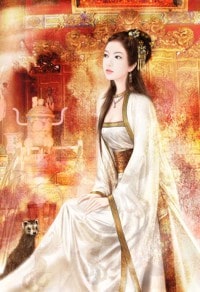 神医高手在都市