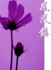 鳳凰鎮