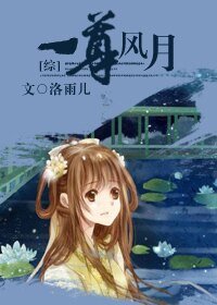 《(綜漫同人)一尊風月》