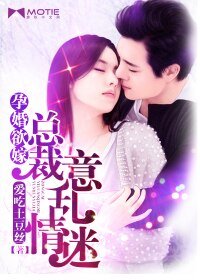 孕婚欲嫁:总裁意乱情迷