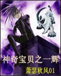 （神奇宝贝同人）宠物小精灵之一辉