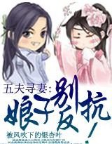 五夫寻妻：娘子别反抗（女尊）