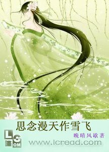 漫天雪飛