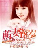 萌妻18岁:BOSS再来一次