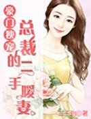 《豪门独宠,总裁的二手暖妻》