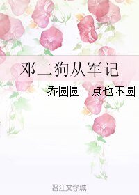 邓二狗从军记