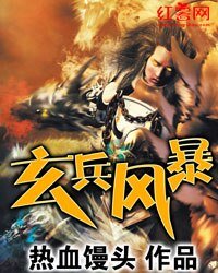 玄兵风暴