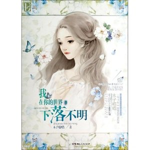 我在你的世界，下落不明（出书版）