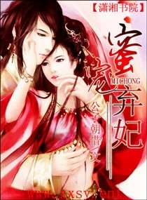 《弥宠弃妃》