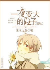 《一夜猖大的赌子》
