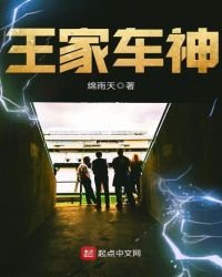 王家车神