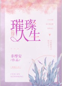 (综同人)璀璨人生