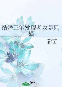 结婚三年发现老攻是只猫
