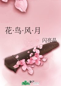 《花·鸟·风·月》
