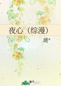 夜心（综漫）