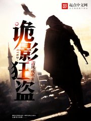 《诡影狂盗》