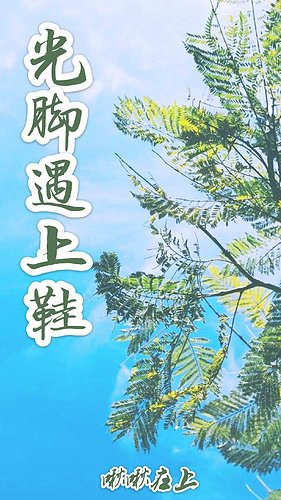 《光脚遇上鞋》