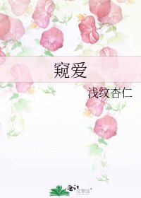 《窥爱》