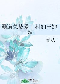 《霸道總裁愛上村婦王嬸嬸》