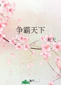 《爭霸天下》