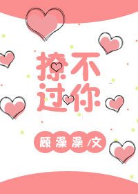 撩不过你