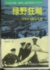 缕爷狂飈——從諾曼底到易北河
