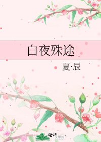 《白夜殊途》