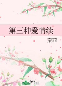 第三种爱情续