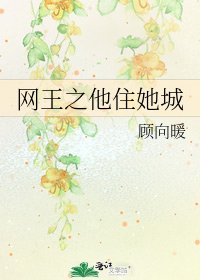 《网王之他住她城》