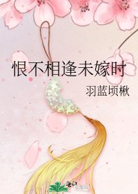 《恨不相逢未嫁时》