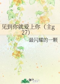 見到你就愛上你(主g27)