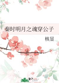秦时明月之魂穿公子
