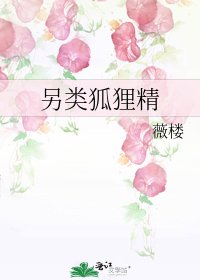 《另类狐狸精》