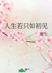 人生若只如初見