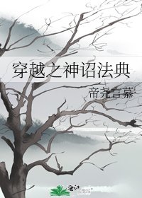 《穿越之神詔法典》