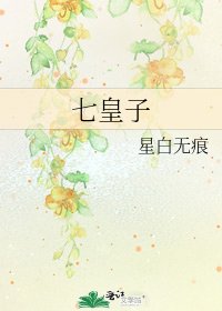 七皇子