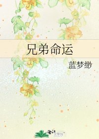《兄弟命运》