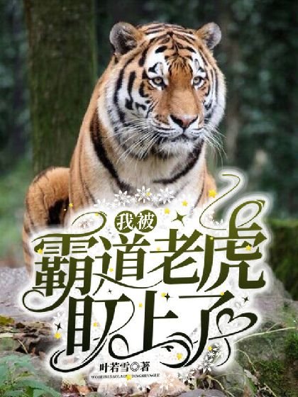 《我被霸岛老虎盯上了》