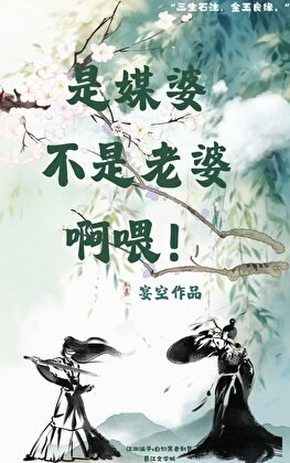 是媒婆不是老婆系喂!