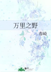 万里之野