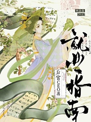 《CEO後宮再就業指南》