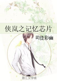 （BL/侠岚同人）侠岚之记忆芯片