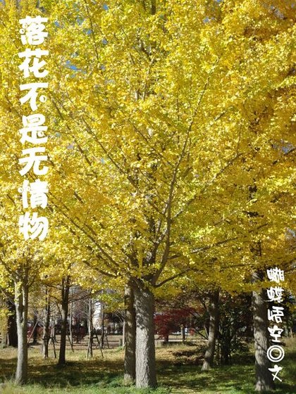 落花不是无情物