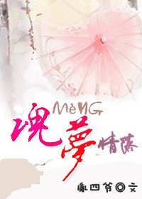 （倚天同人）魂梦情落