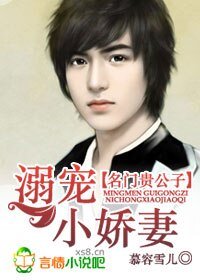 《名门贵公子:溺宠小过妻》